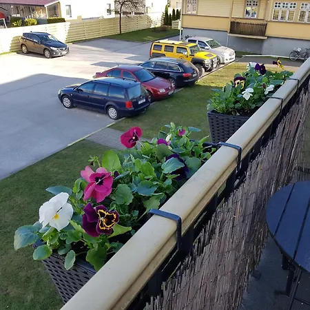 Apartment Uelejoe